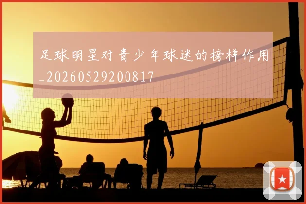 足球明星对青少年球迷的榜样作用_20260529200817