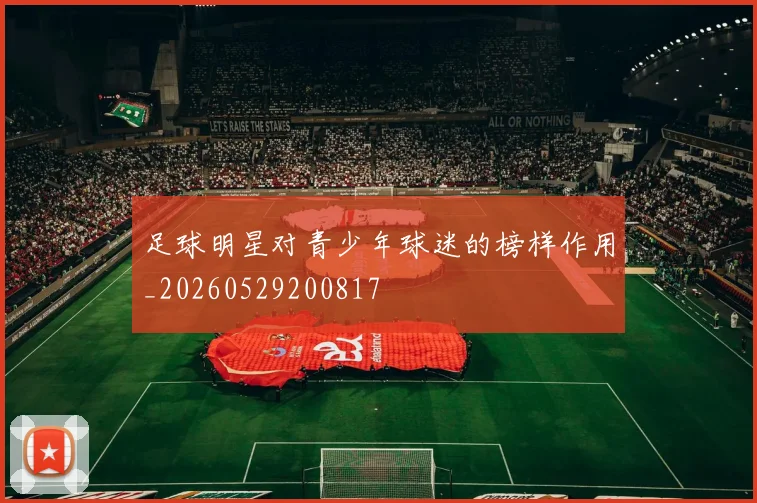 足球明星对青少年球迷的榜样作用_20260529200817